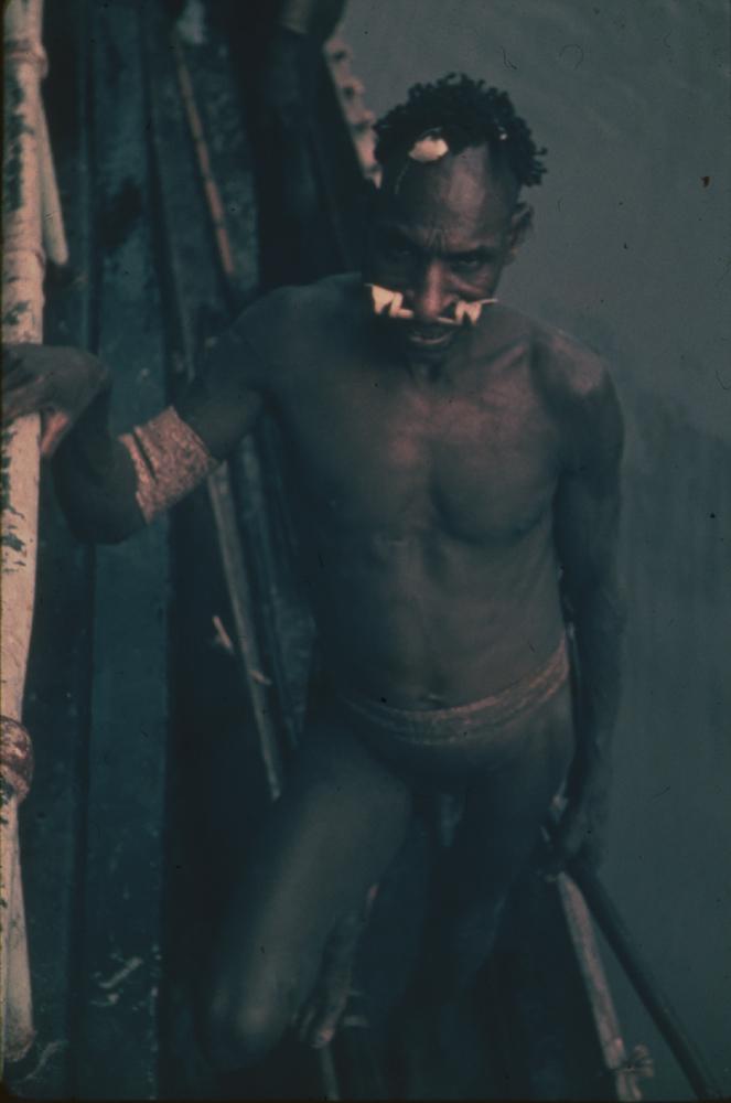 BD/30/8 - 
Asmat man posing upright in a prow
