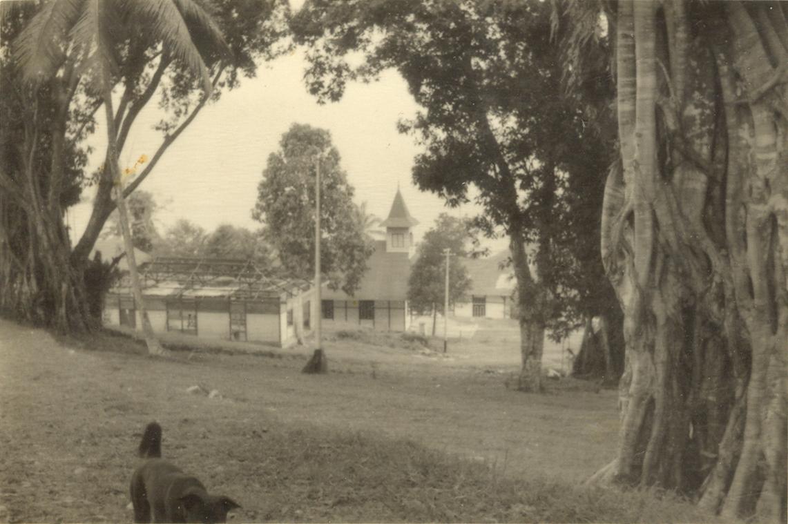 BD/318/84 - 
Dorpsgezicht te Fak-Fak, o.m. gebouwen in aanbouw
