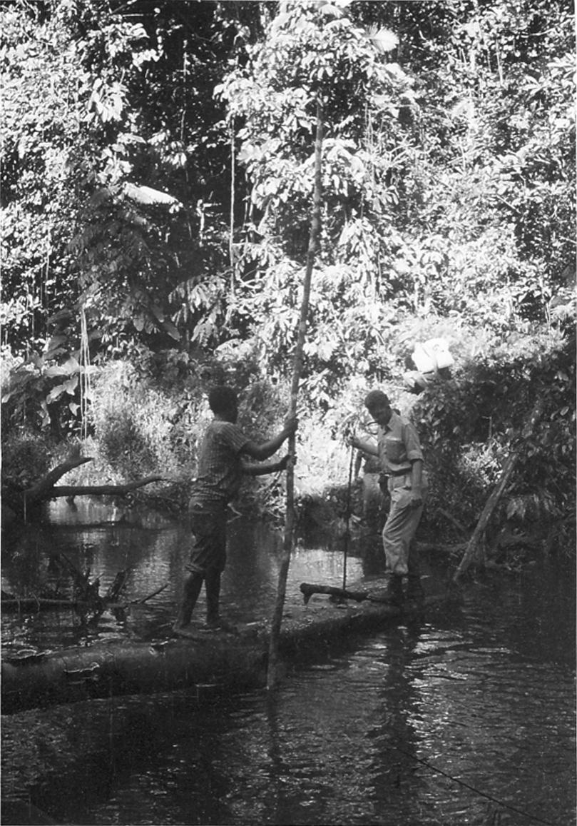 BD/328/25 - 
Tournee in het District Moraid, Onderafdeling Sorong
