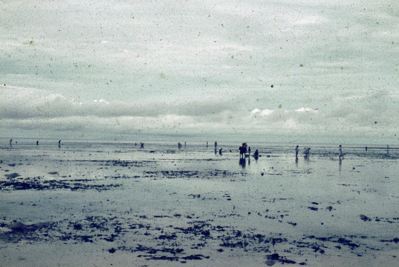 BD/66/230 -
Mensen zoeken eetbare schelpen op strand
