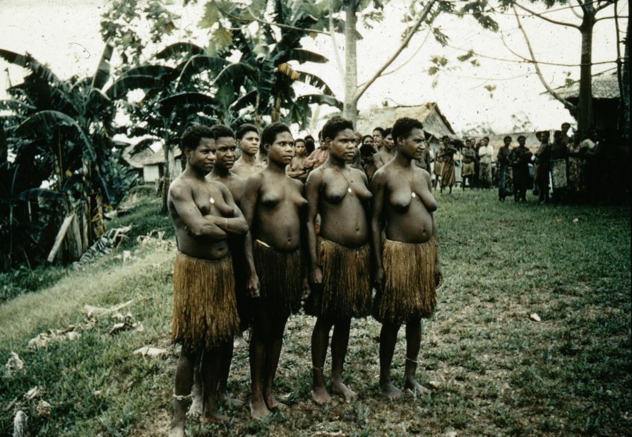 BD/66/240 -
Vrouwen uit Zuid Nieuw Guinea