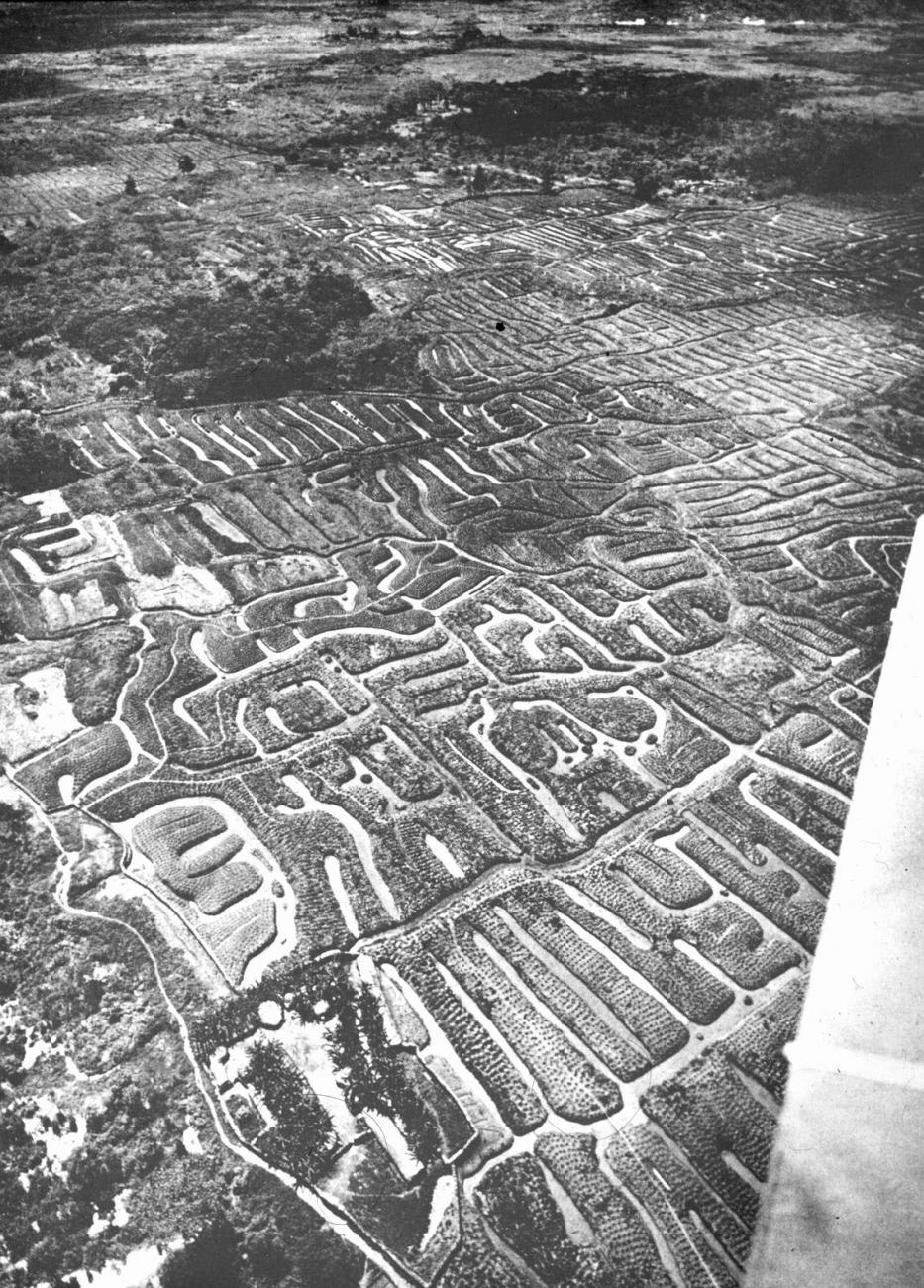 BD/66/295 -
Tuinen in de Baliemvallei