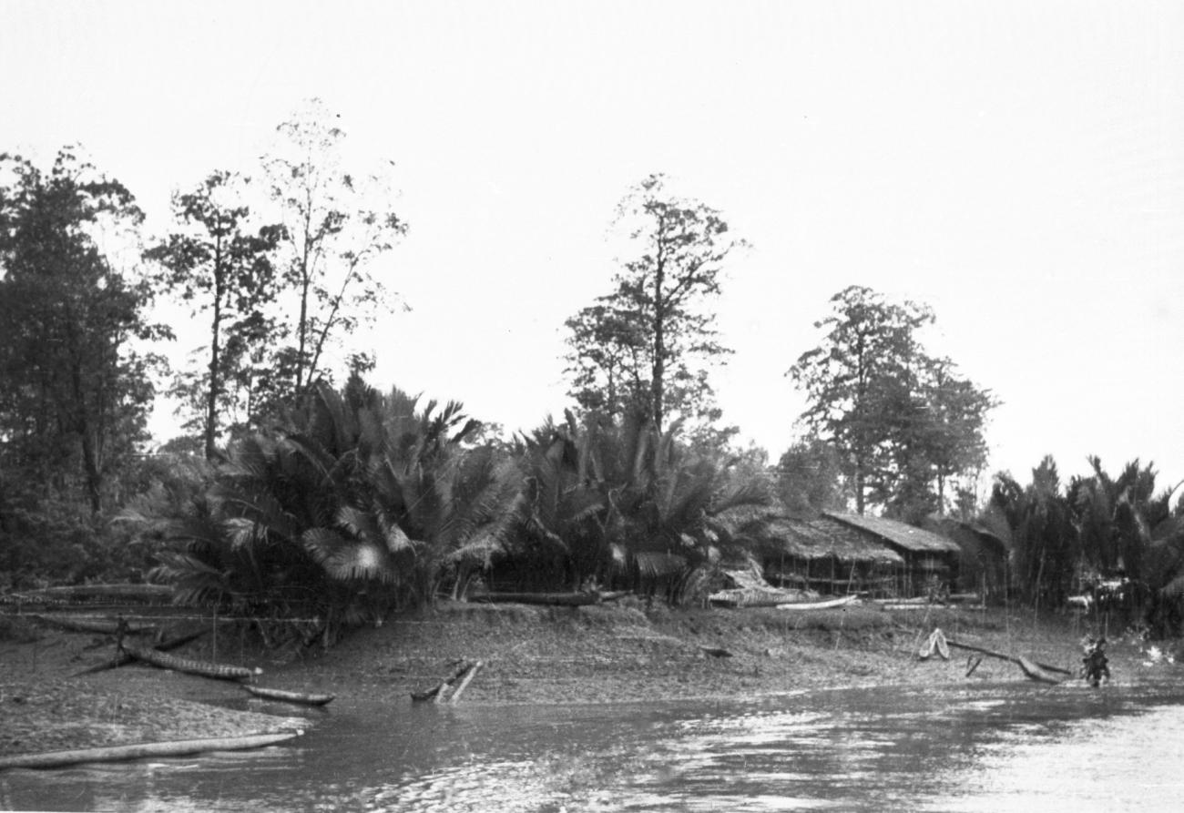 BD/66/393 -
Huis aan rivier in Asmatgebied