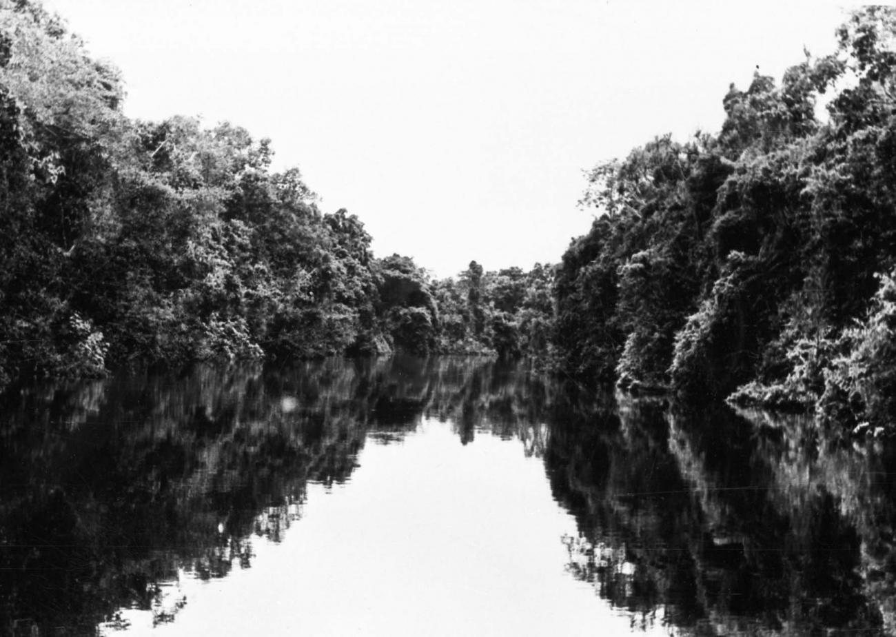BD/66/399 -
Rivier in het oerwoud