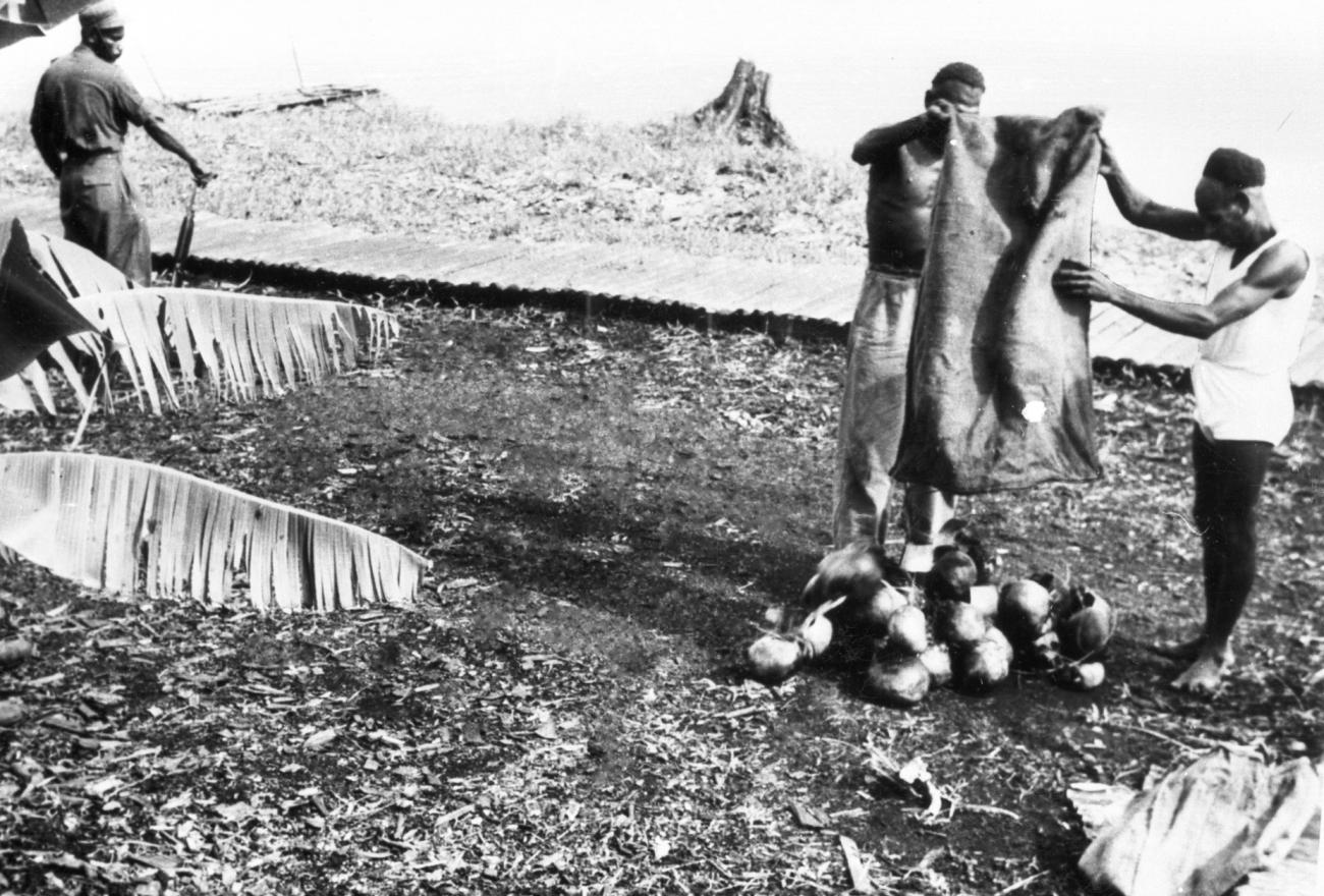 BD/66/421 - 
Schedels worden op de grond gegooid
