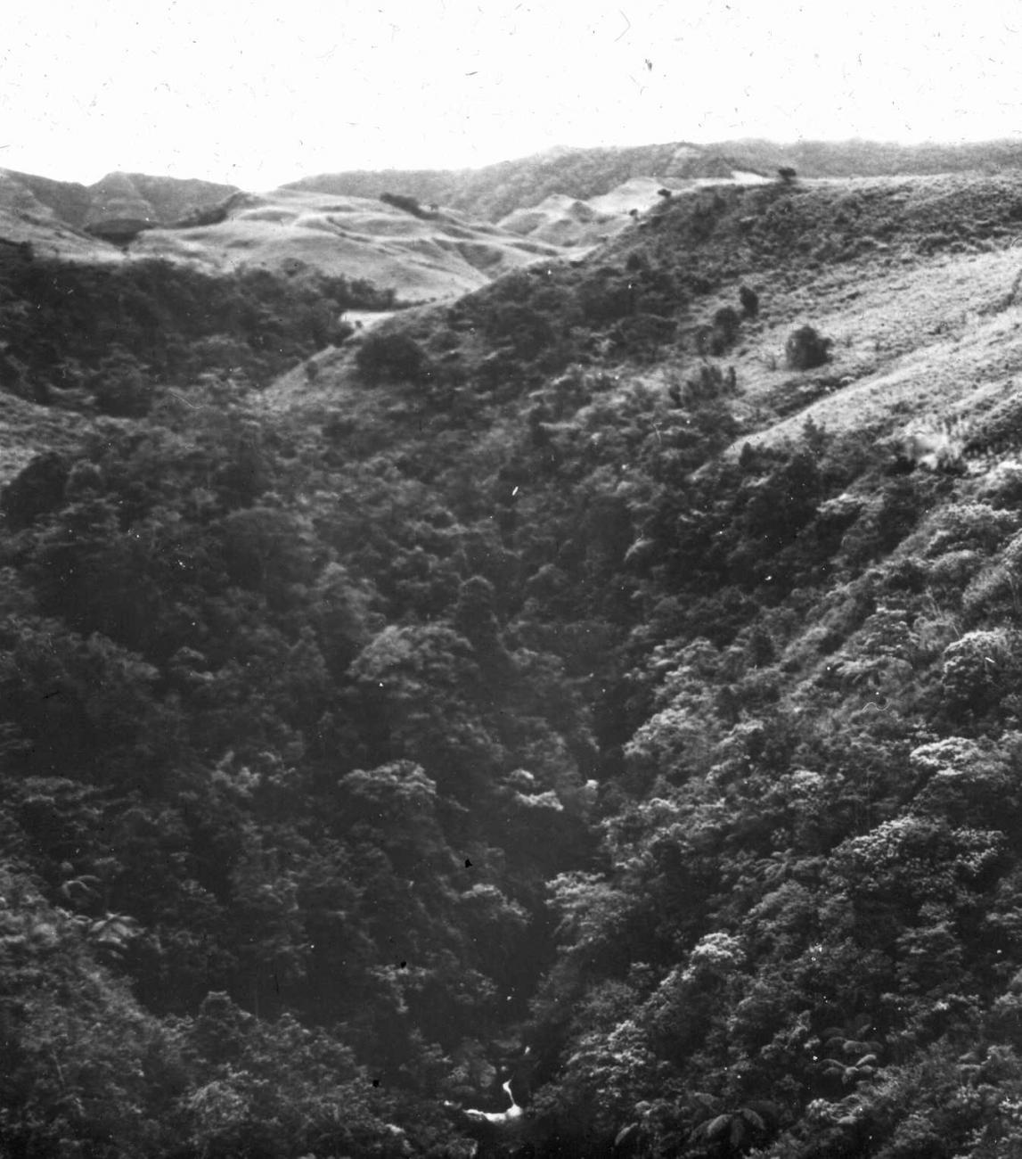 BD/66/455 - 
Berglandschap met dichtbeboste vallei
