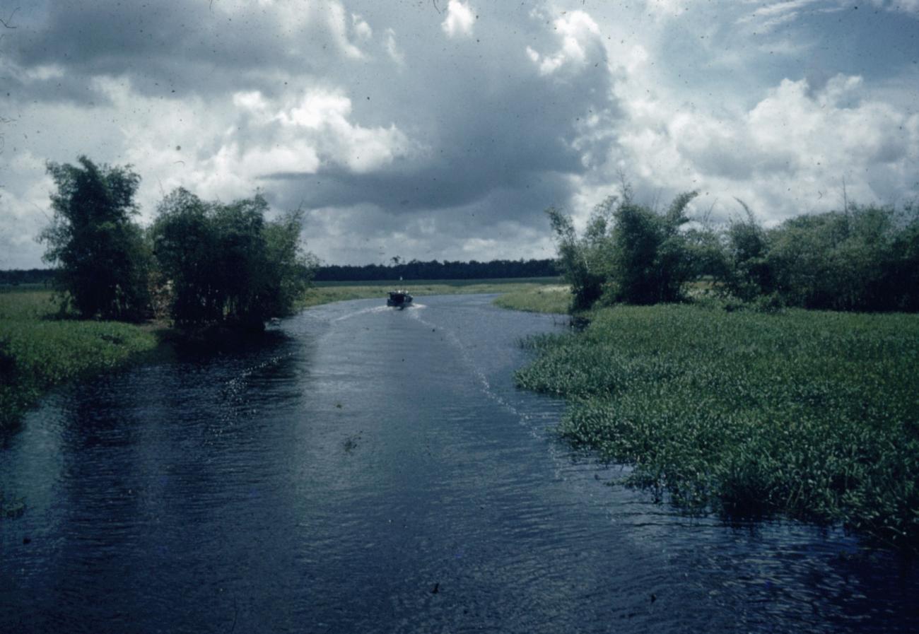 BD/66/58 - 
A river in southern Papua
