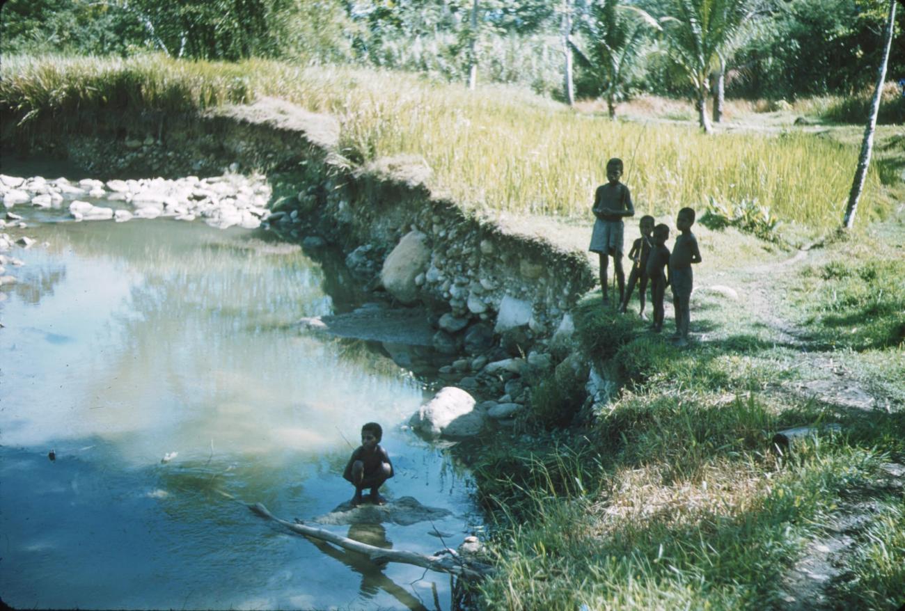 BD/171/79 -
Kinderen aan oever plas.