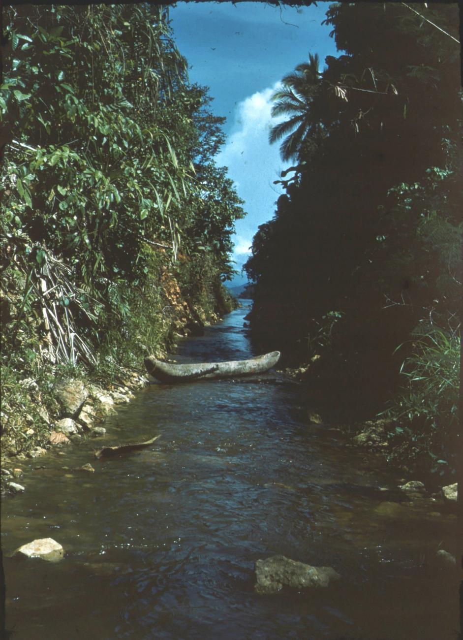 BD/171/1013 -
Smalle rivier met prauw.