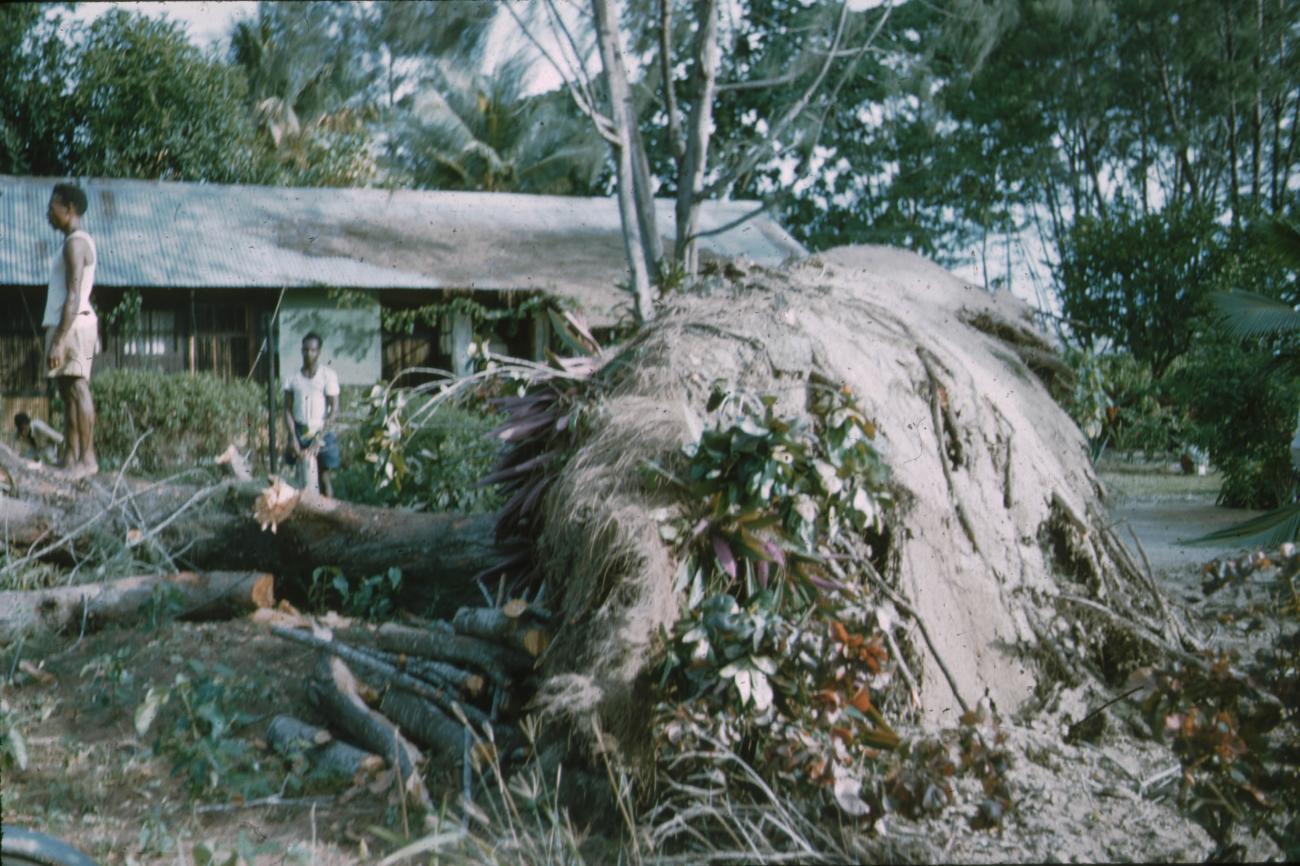 BD/171/1222 -
Huis met omgewaaide boom