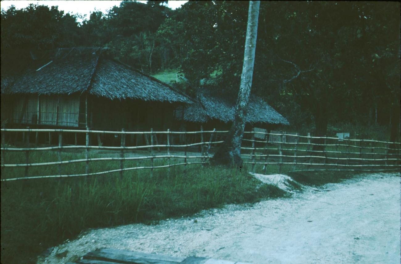 BD/171/1248 -
Huis met rieten dak en tuinhekken