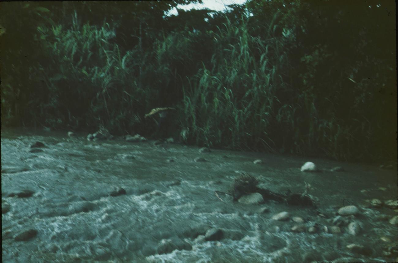 BD/171/1370 -
Rivier.