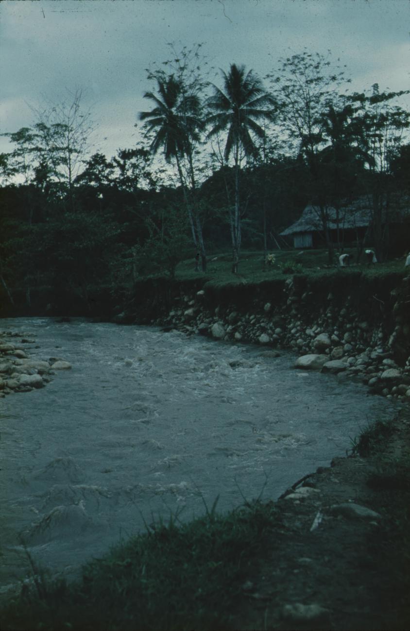 BD/171/1371 -
Rivier met op oever huis met rieten dak.