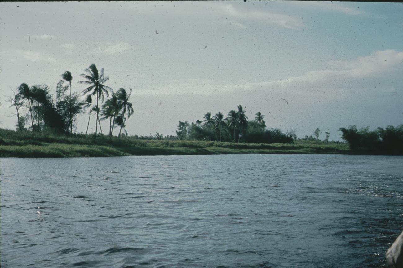 BD/171/1396 -
Foto vanaf schip van oever rivier.