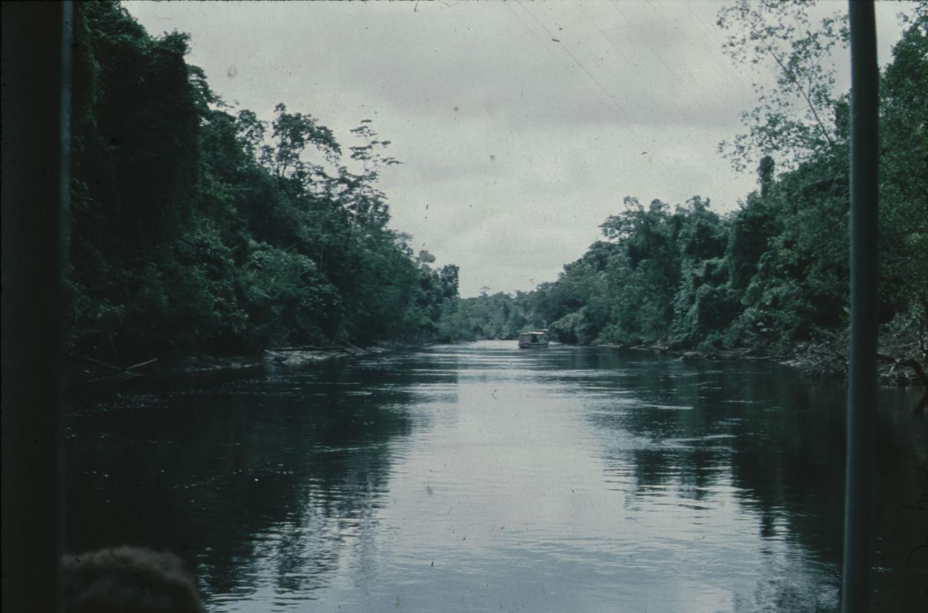 BD/171/1397 -
Foto vanaf schip van rivier.