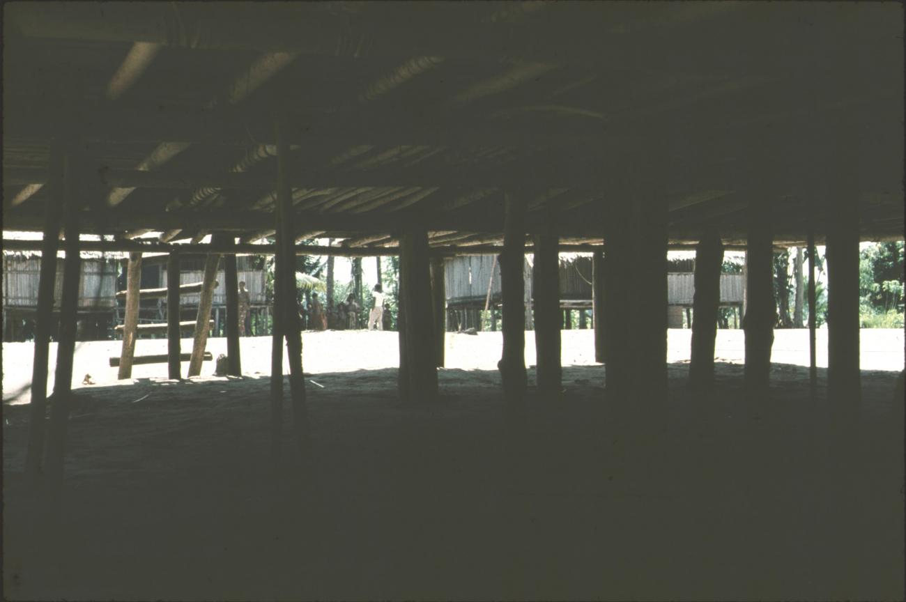 BD/171/1412 -
Paalwoning, onderzijde.