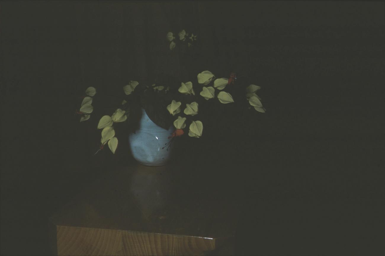 BD/171/1516 - 
Vaas met bloemen.
