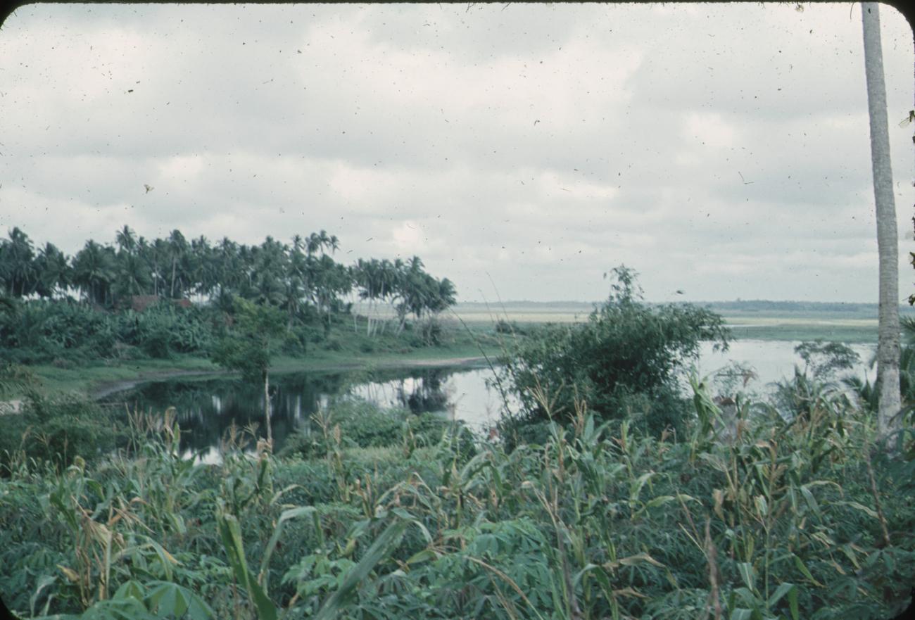 BD/171/1663 -
Natuur