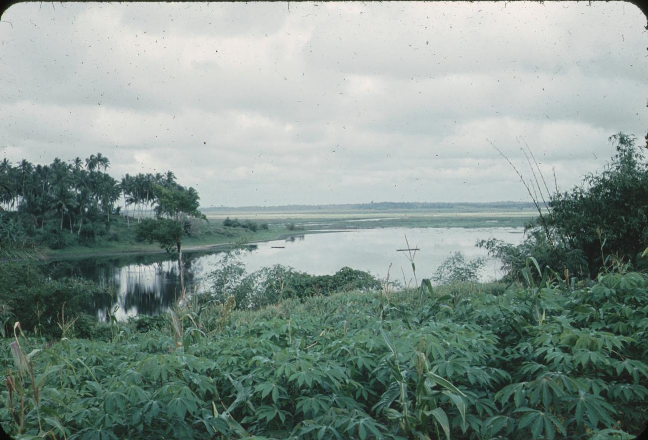 BD/171/1664 -
Natuur