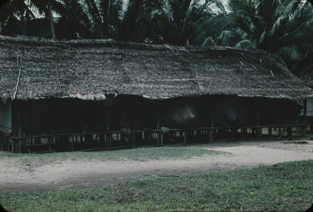 BD/171/1671 -
Paalwoning