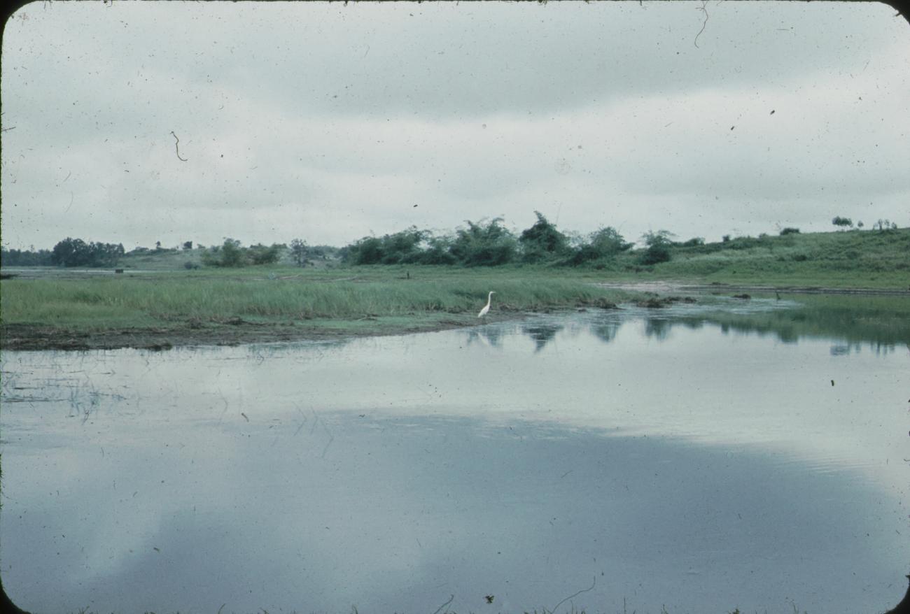 BD/171/1679 -
Natuur