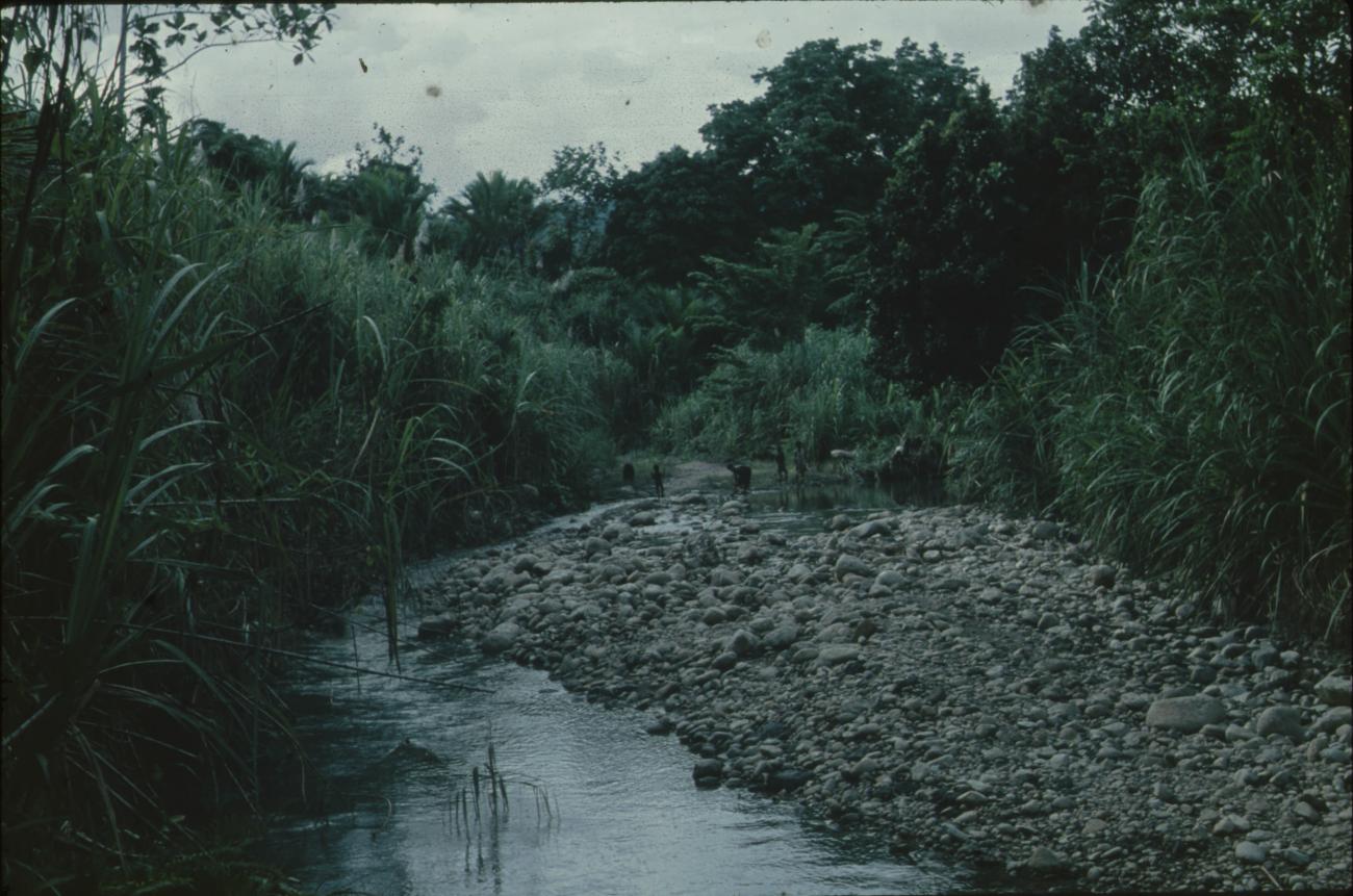 BD/171/1780 -
Rivier met keien