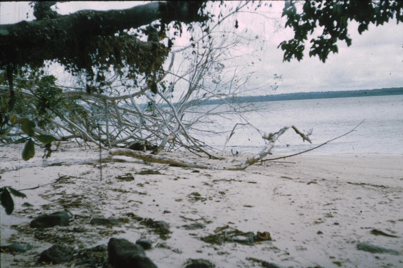 BD/171/685 -
Strand aan meer
