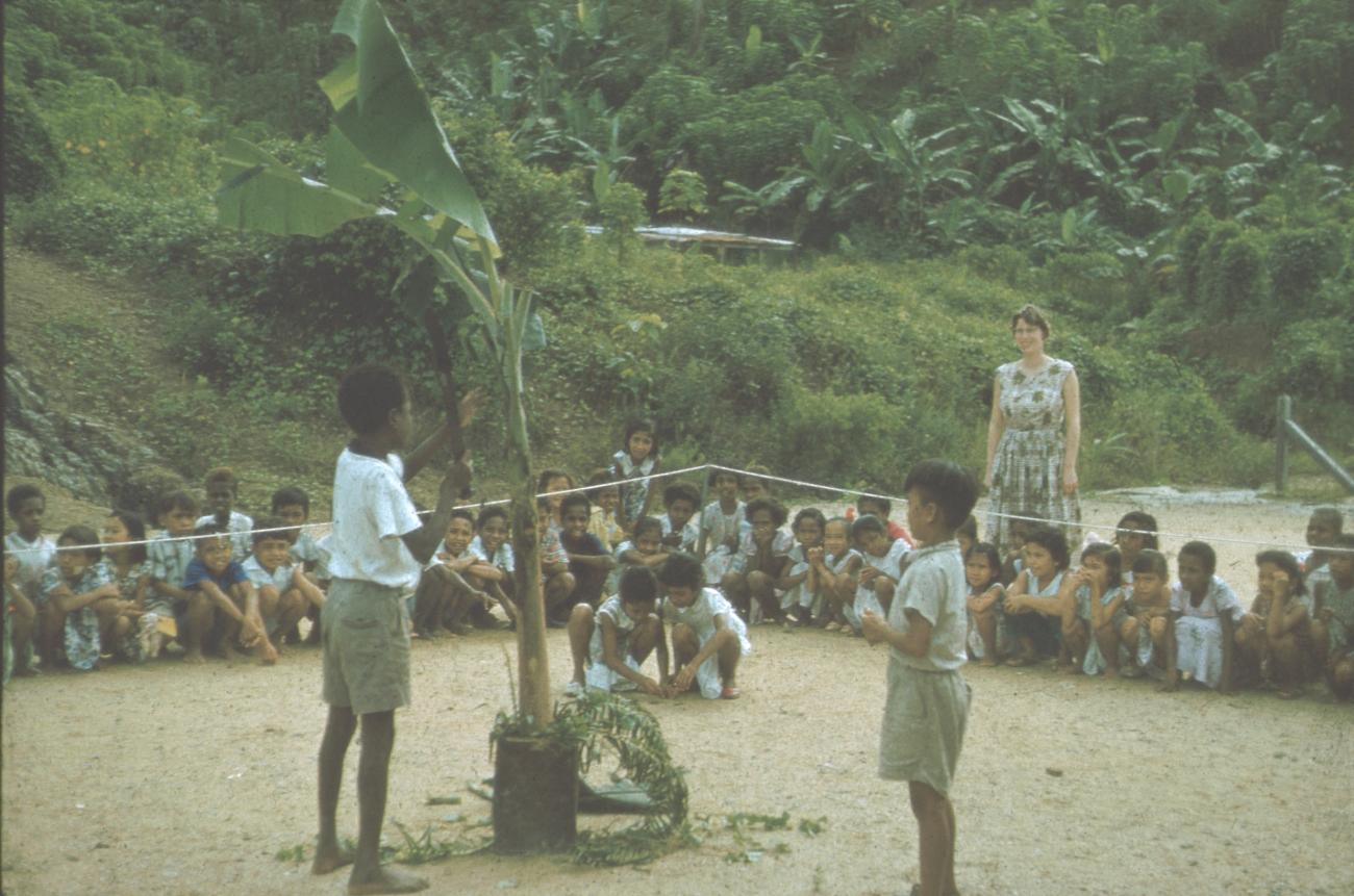 BD/171/723 -
Jongens met grote plant in pot op school