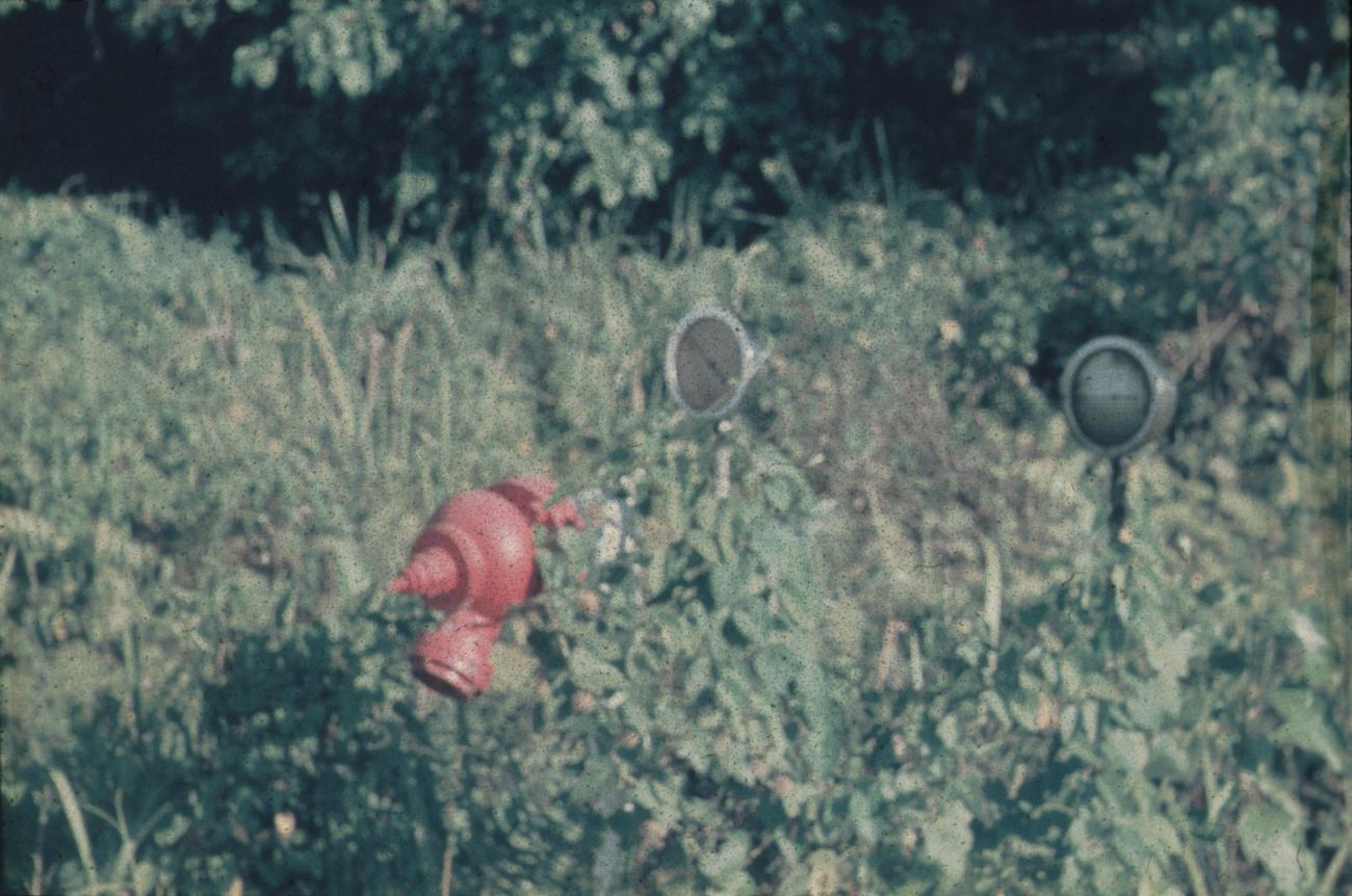 BD/171/725 -
Natuur