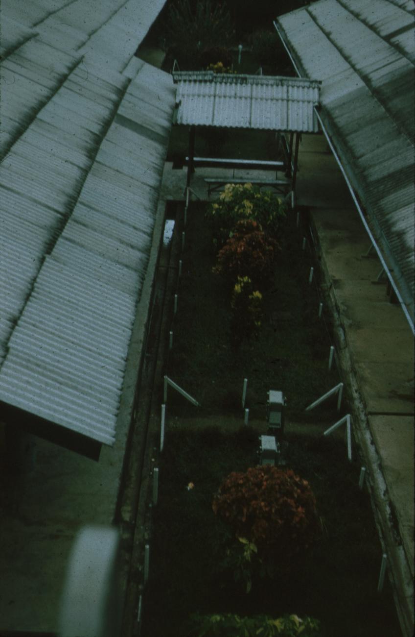 BD/171/751 -
Aangelegde tuin tussen huizen