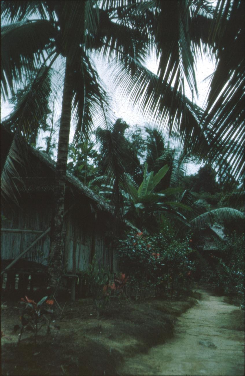 BD/171/757 -
Huis tussen palmbomen