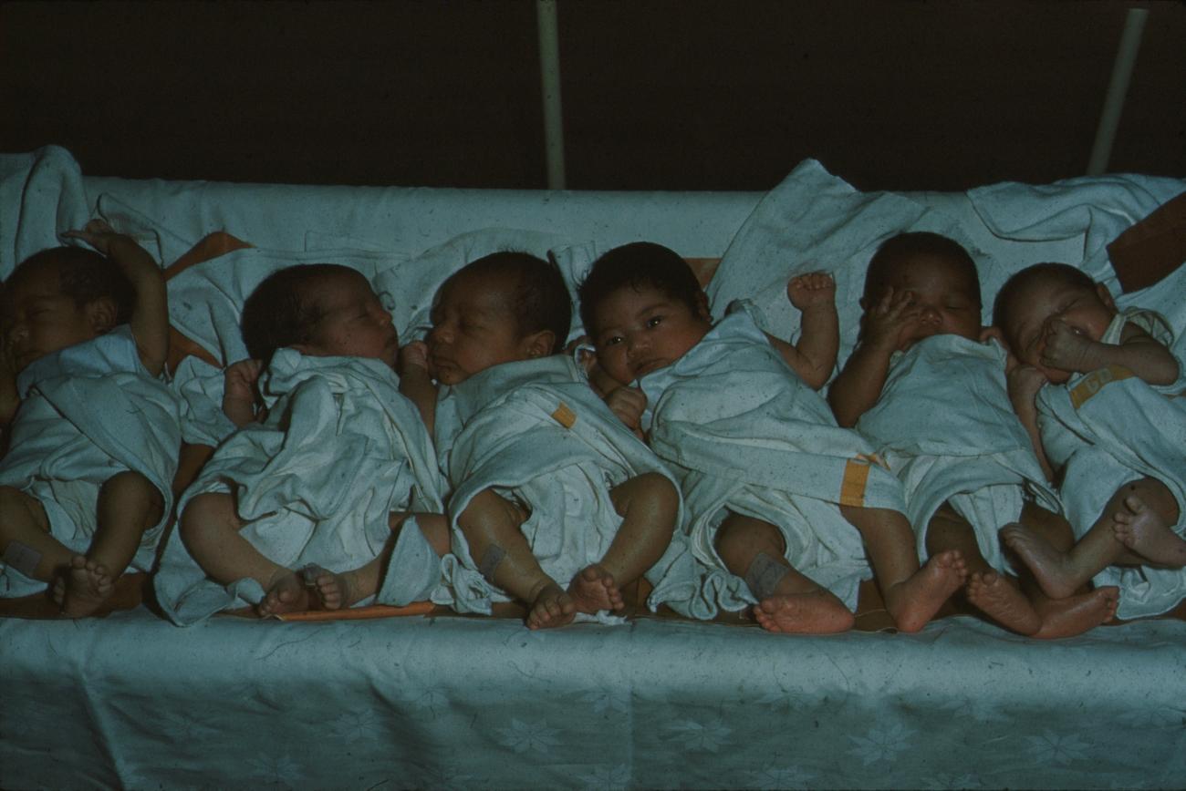 BD/171/879 -
Zes babies op een rij in ziekenhuis