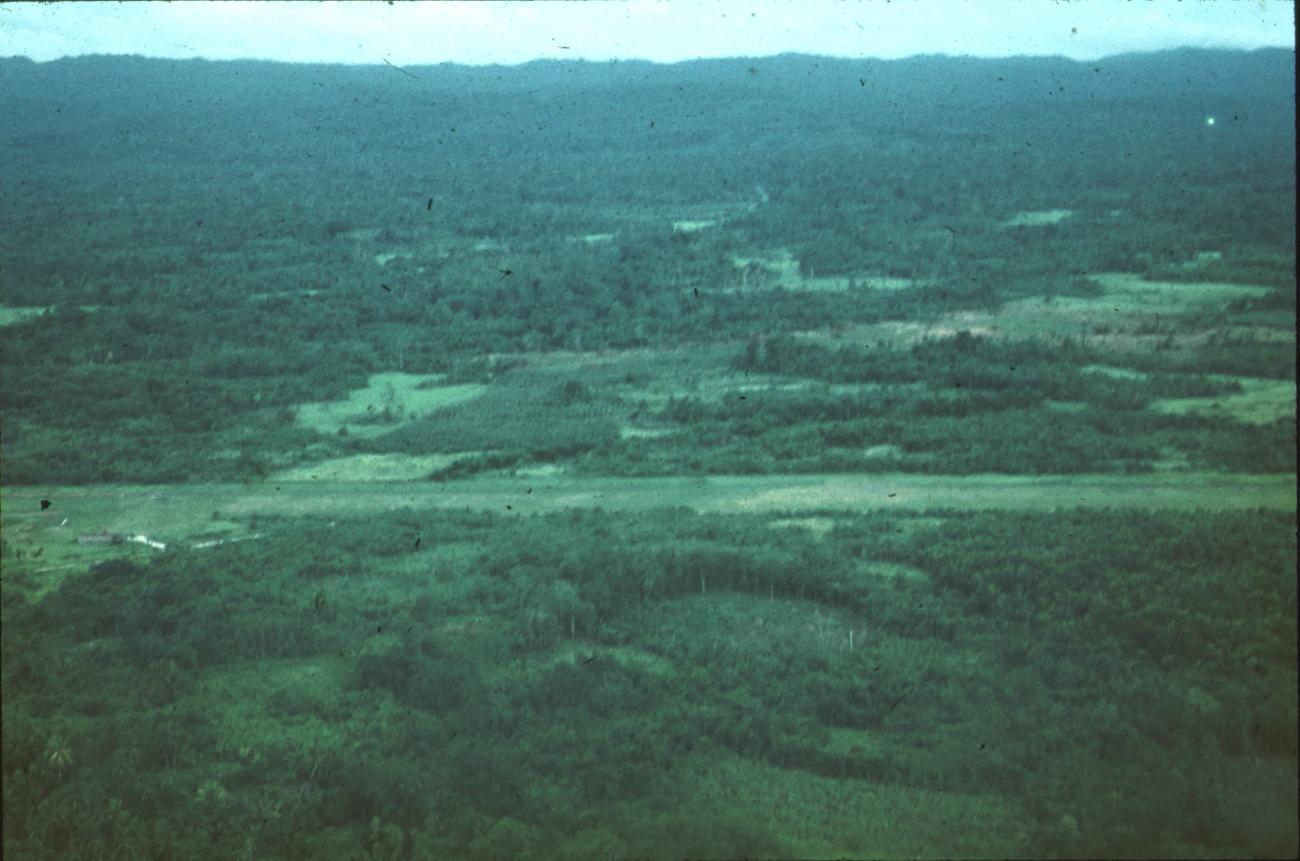 BD/171/963 -
Bosrijk gebied.