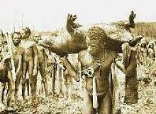 Pigs and Pig Ceremonies in New Guinea
