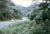 BD/37/130 Weg naar Sentani