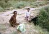 BD/37/209 Wamena: op weg naar de markt 1