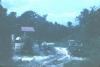 BD/67/77 Biak 
