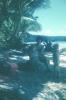 BD/67/80 Biak