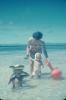 BD/67/81 Biak Strand Paraj