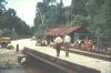 BD/67/83 Biak