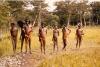 BD/39/14 Papua-mannen