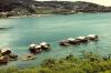 BD/39/5 Woningen in Sentanimeer