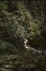 BD/166/410 Bergstroom