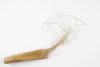 EA/174/159 armband