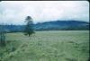 BD/209/1066 Veld