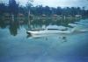 BD/209/2054 Motorboot