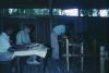 BD/209/2077 Schoolklas binnen