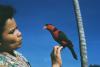 BD/209/3062 Vogel zit op hand van vrouw