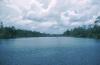 BD/209/3076 Boottocht over de rivier