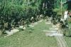 BD/209/4058 Cocos